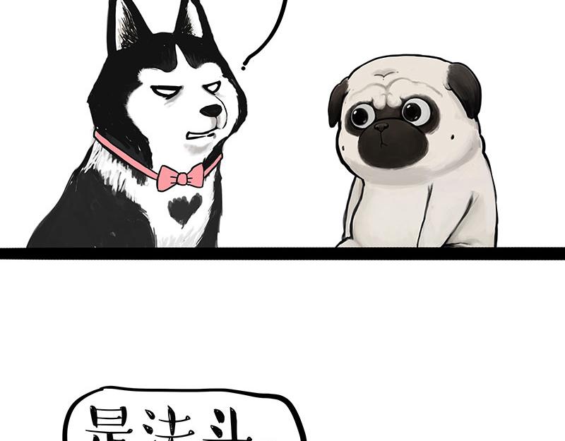 第297话 无处不在拦路猫12