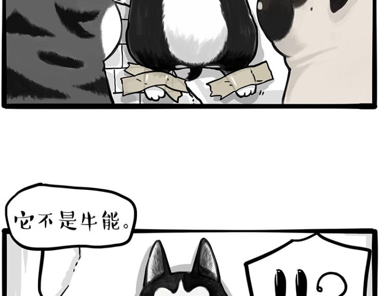 第288话 冒牌货，拿来吧你！38