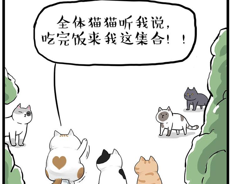 第239话 “屁”的战争7