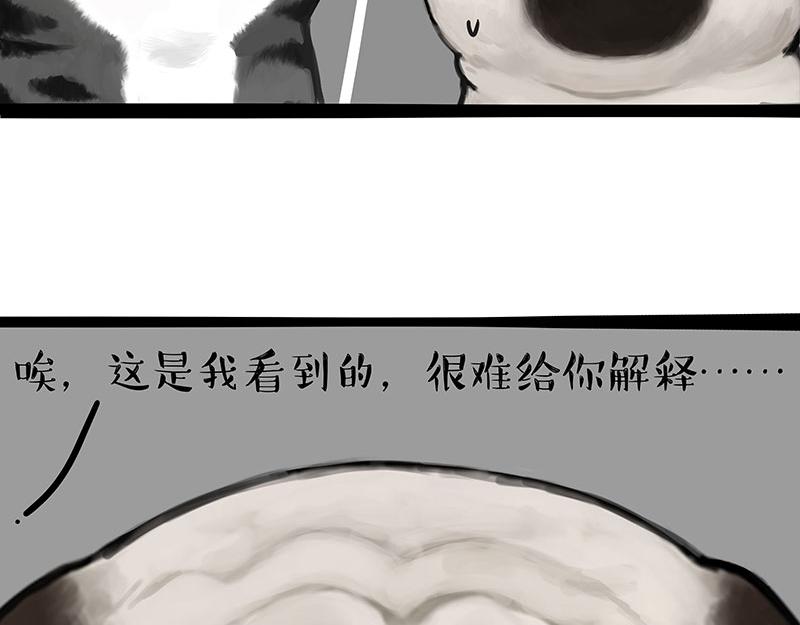 第307话 面相大解析31