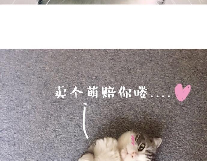 第26话 犯错你会卖萌求原谅吗6