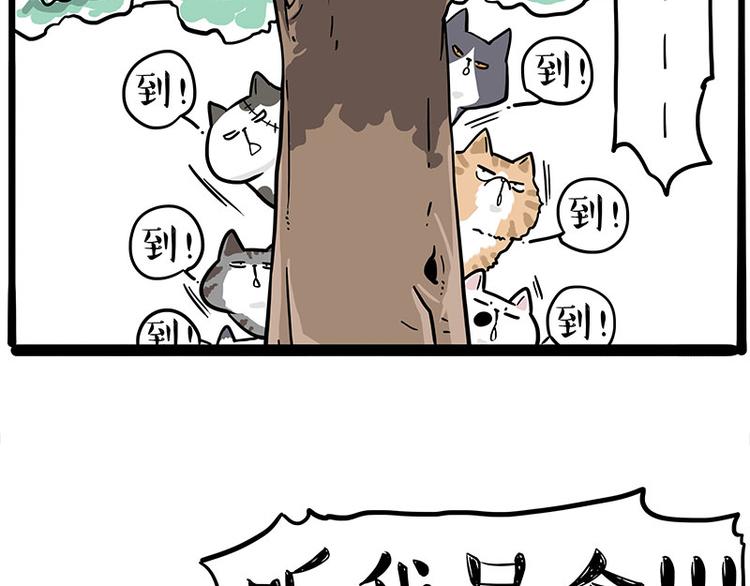 第271话 进击的流浪猫！6