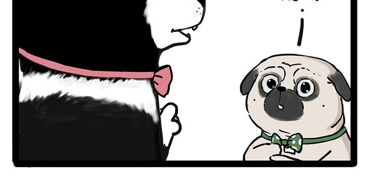 第194话 生活不易，猫狗打工27