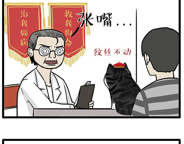 第78话 带宠物看病（上）1