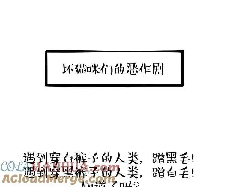 第405话 猫好狗好，人坏24