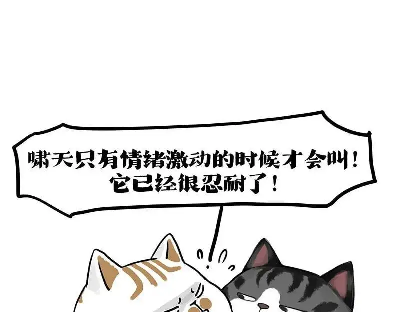 第404话 寻家计划1：啸天74