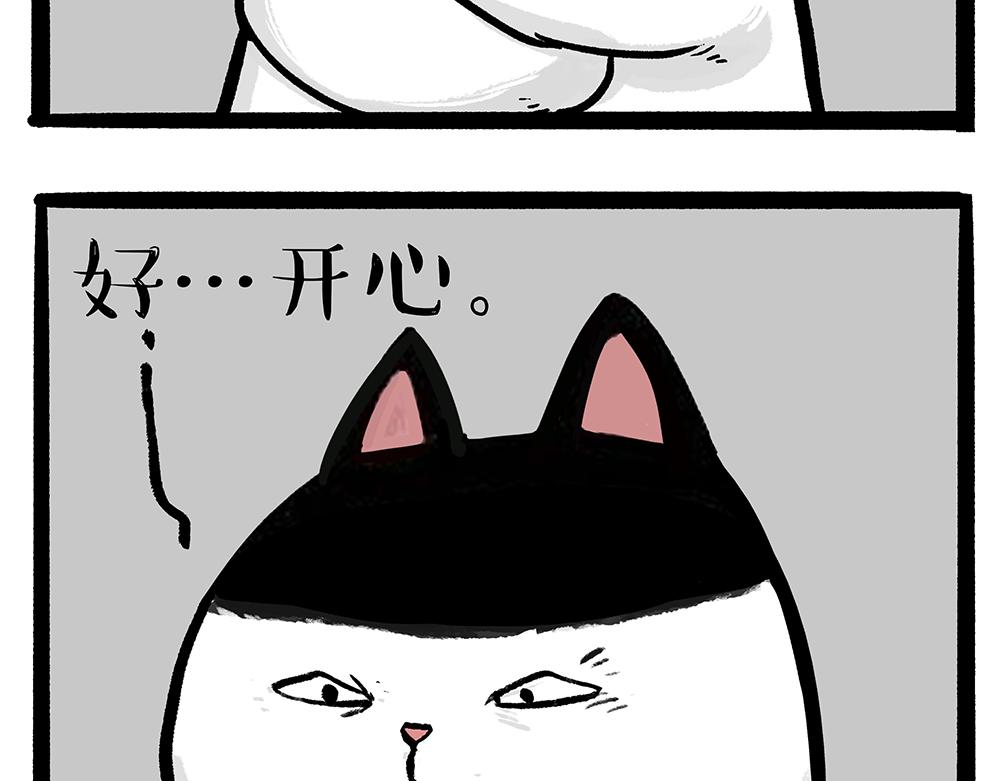 第331话 猫王争霸之“杀青”44