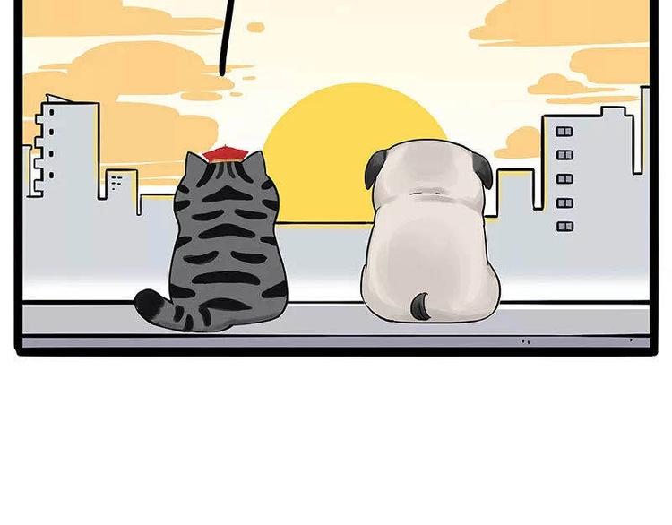 第191话 猫猫无证看孩子？！75
