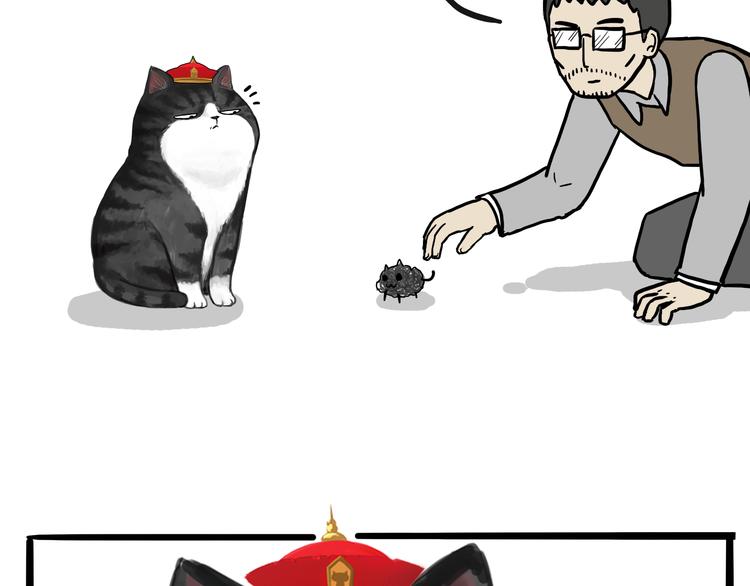 第74话 猫主子送的也敢扔4