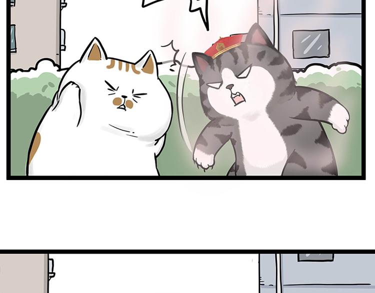 第284话 美喵竟是我自己16