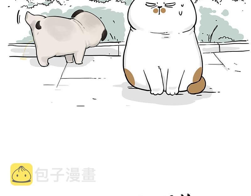 第317话 社交密码3