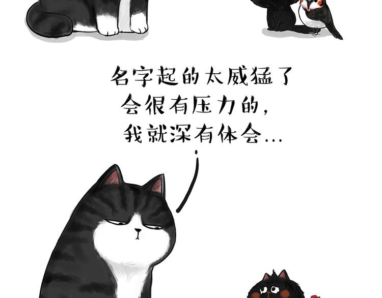 第53话 宠物的压力6