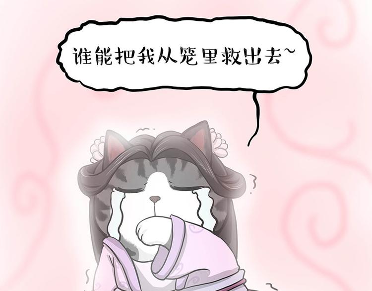第284话 美喵竟是我自己50