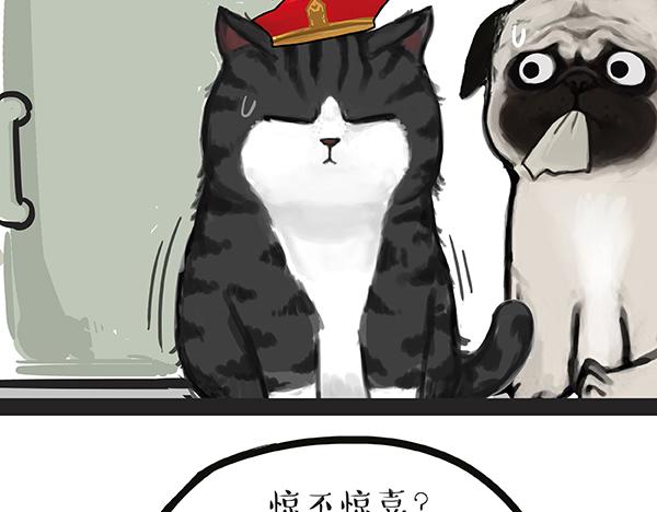 第67话 告诉你一个小秘密33