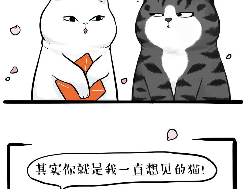 第323话 春日恋情？！28