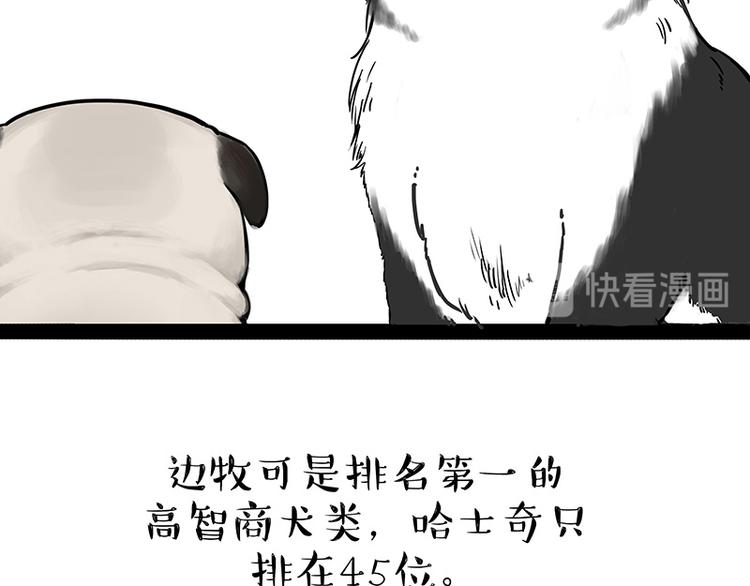 第207话 巴扎黑丢了？！16