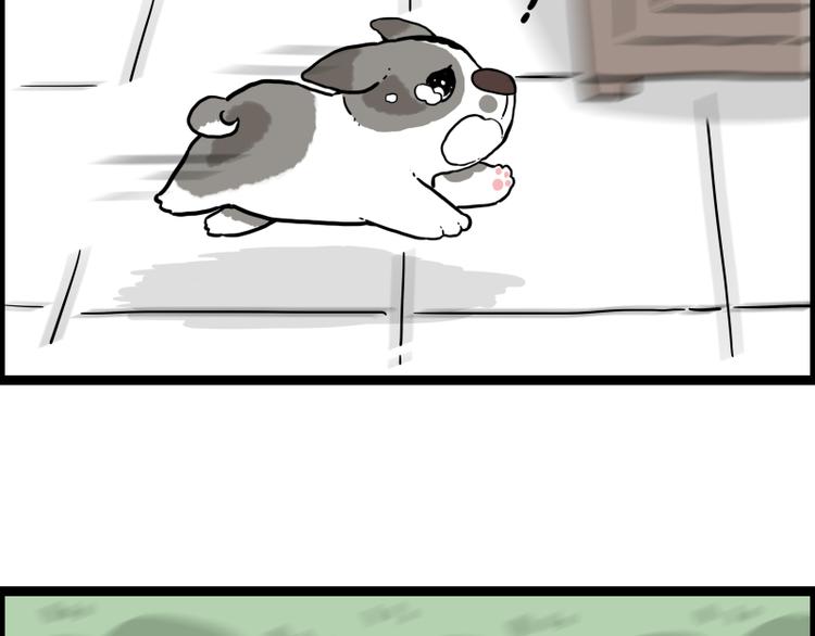 第267话 不让你流浪61