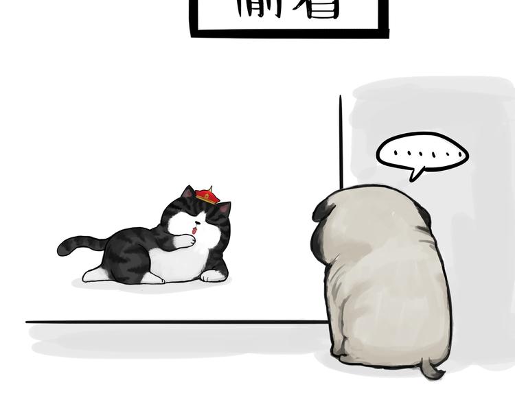 第75话 猫奴被嫌弃了14