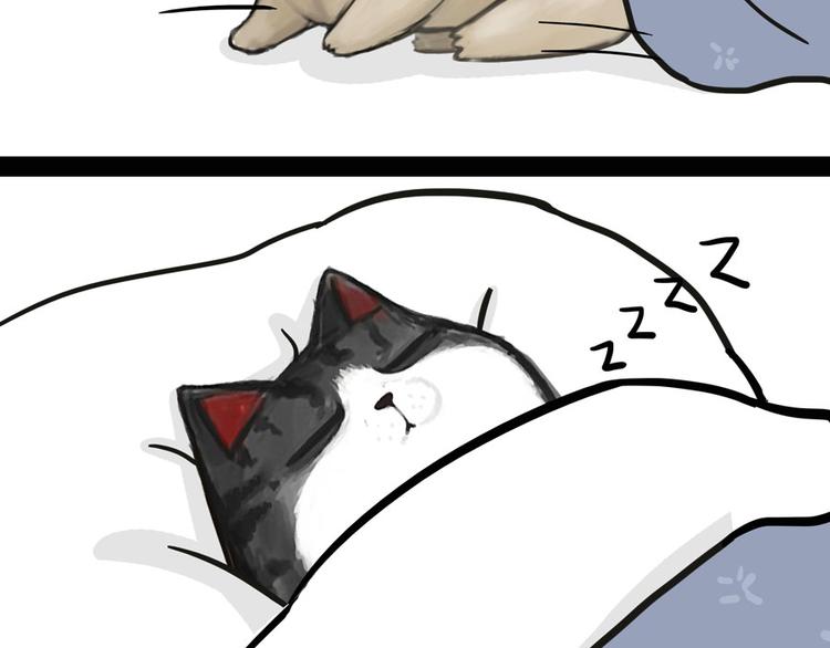 第44话 日常坑狗，却猫前屈膝12