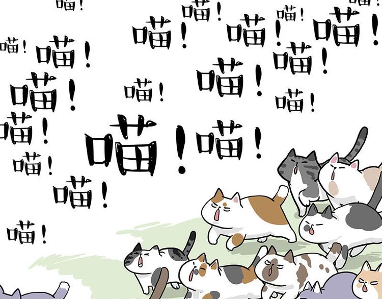 第271话 进击的流浪猫！59