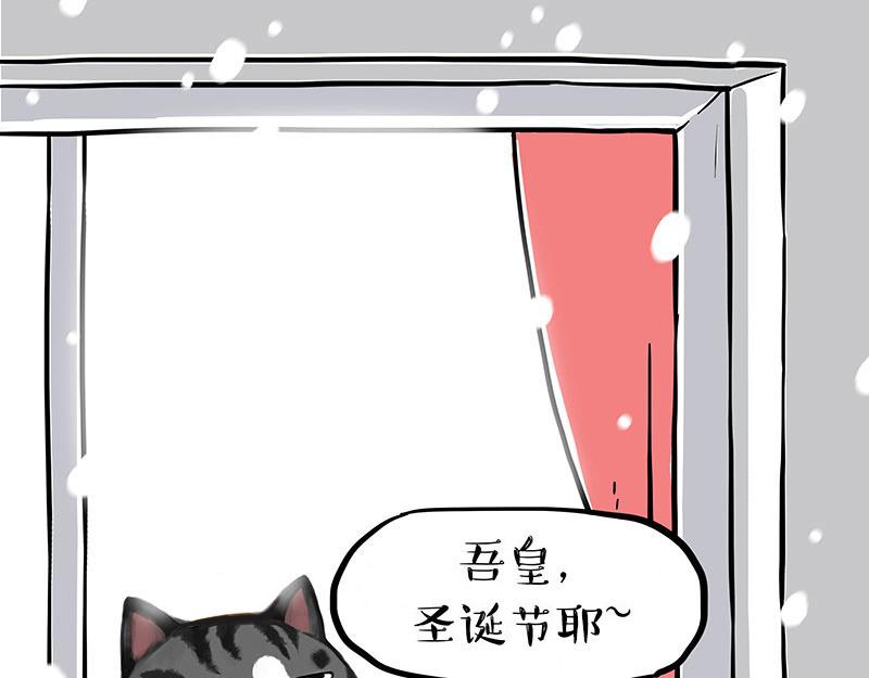 第359话 猫洛芬23