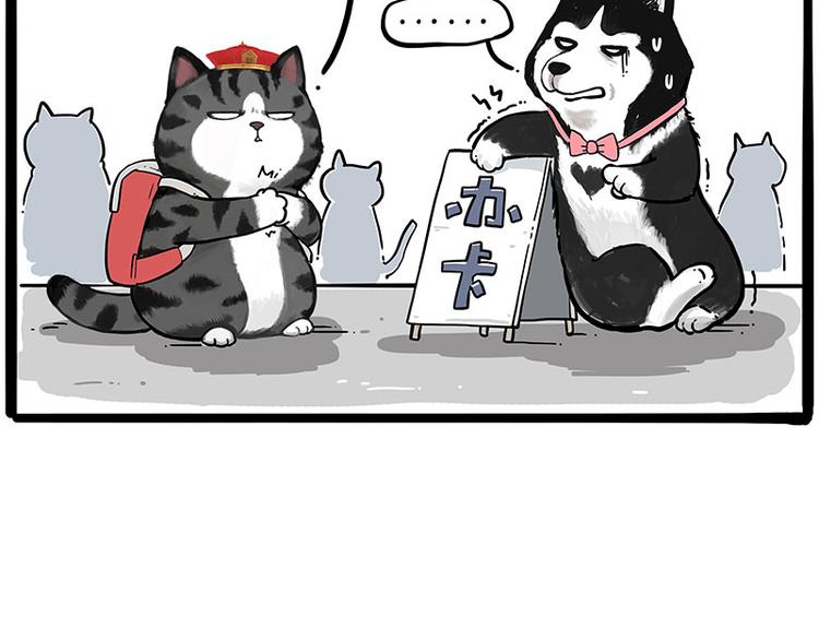 第231话 防骗指南44