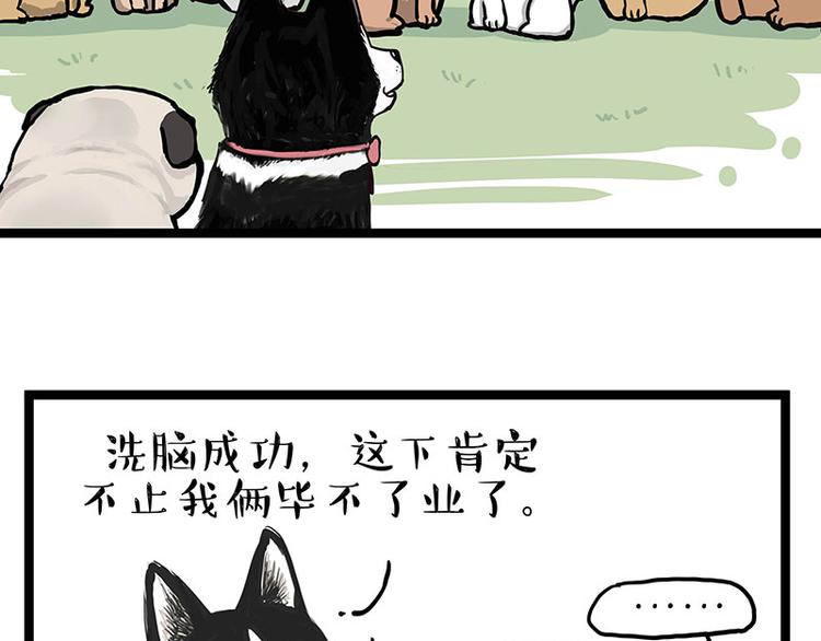 第280话 狗上学59