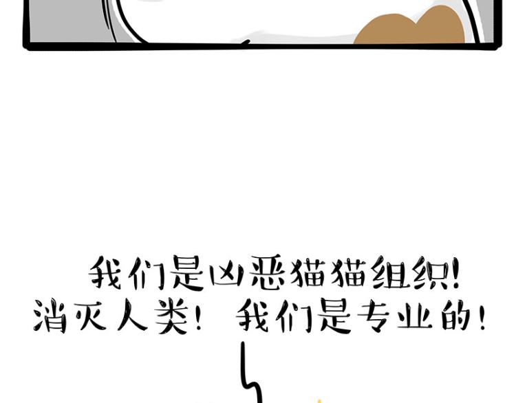 第290话 凶恶猫猫组织10