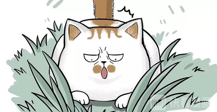 第159话 傲霸日常（二）12