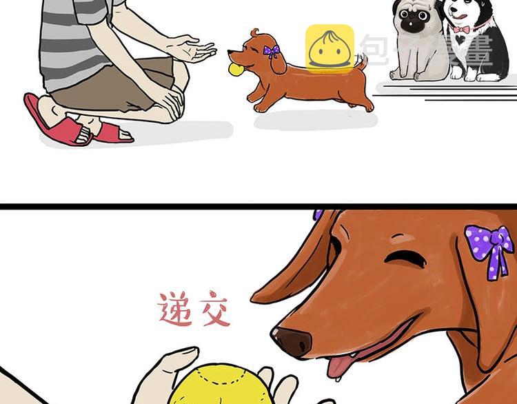 第155话 狗之礼仪10
