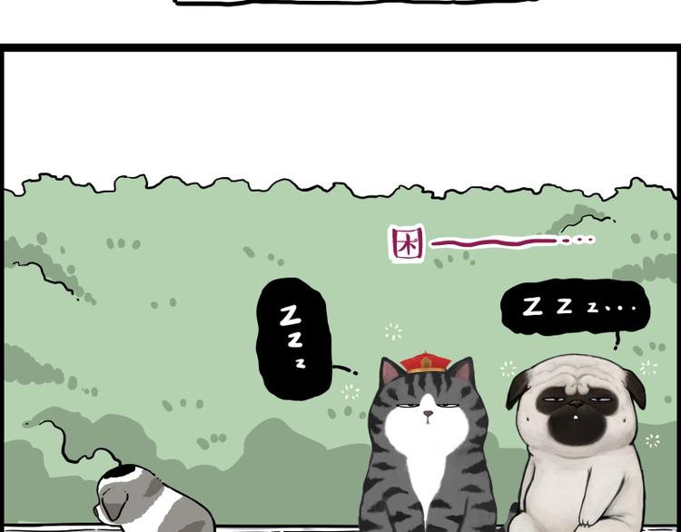 第267话 不让你流浪75