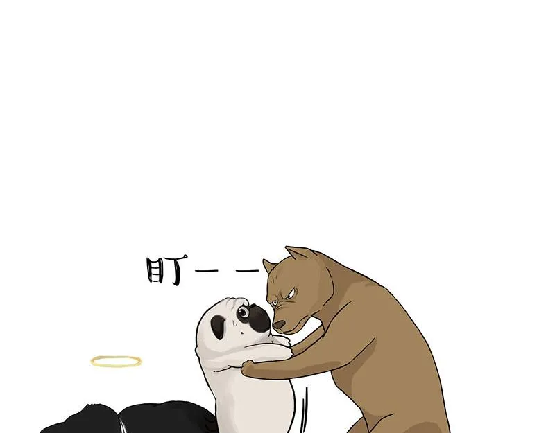 第375话 偶遇恶犬12