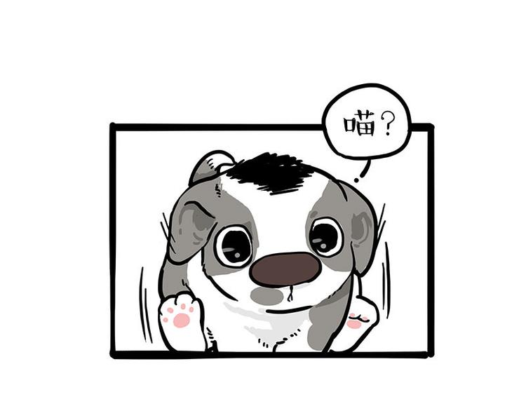 第271话 进击的流浪猫！62
