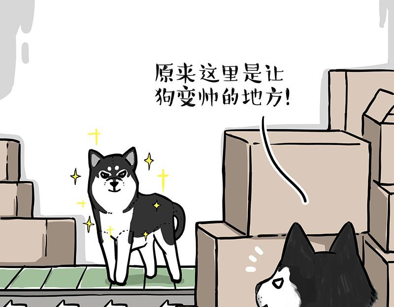 第304话 你是真的狗4