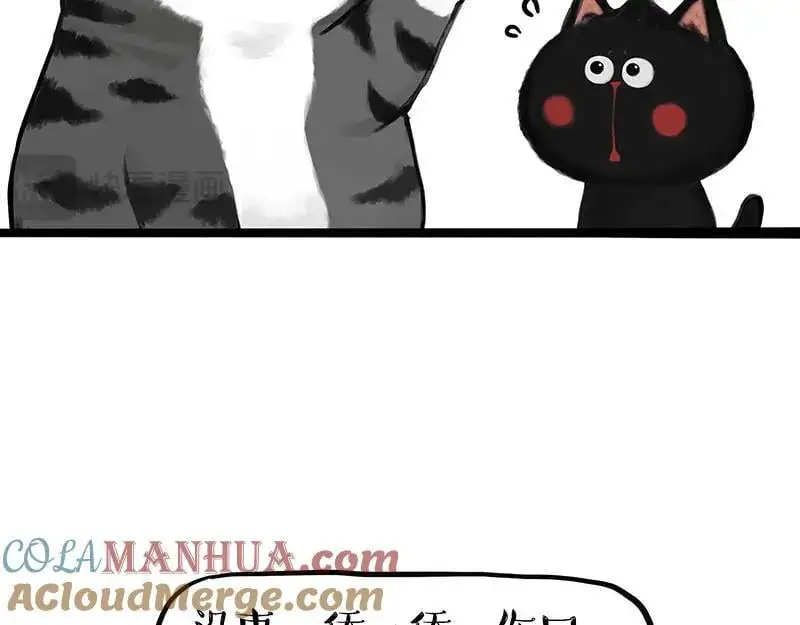 第405话 猫好狗好，人坏28