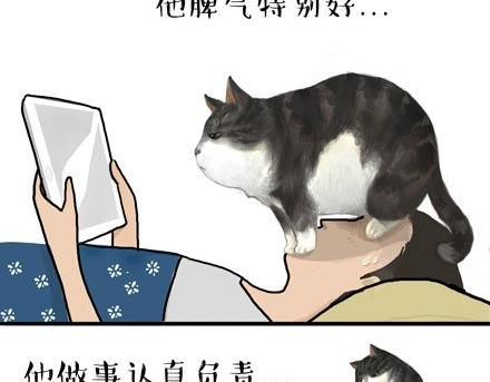 第18话 思考喵生的猫21