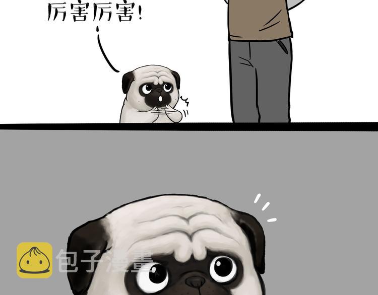 第125话 一只优秀的汪18