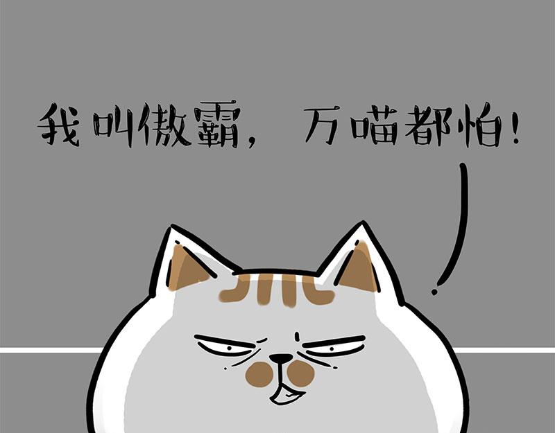 第308话 恶霸最大！16