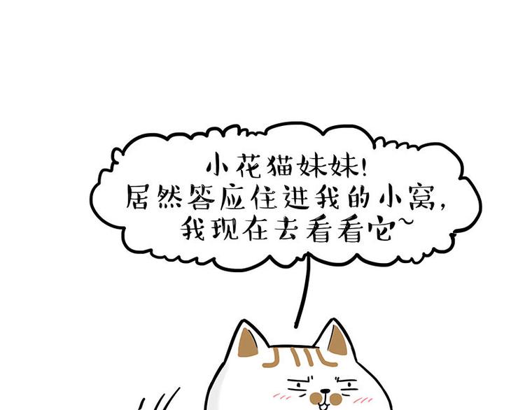第238话 吾皇的爱情“喵”招67