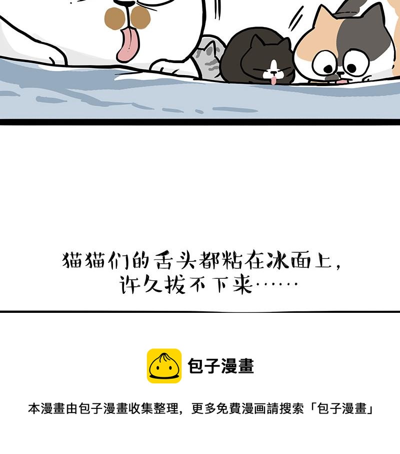第320话 猫孵鱼20