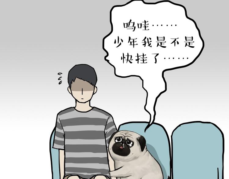 第79话 带宠物看病（下）25