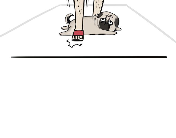 第44话 日常坑狗，却猫前屈膝30