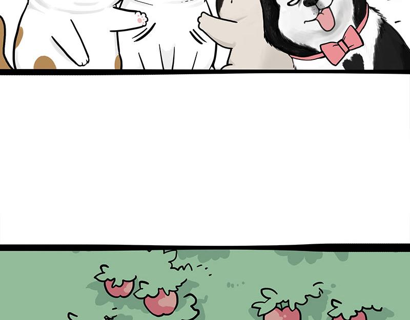 第344话 人生止痛剂40