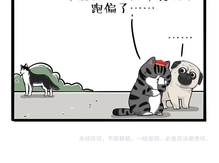 第187话 巴扎黑终究是错付了56