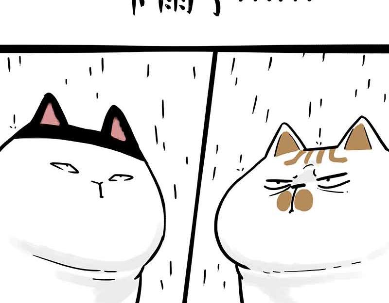 第359话 猫洛芬9