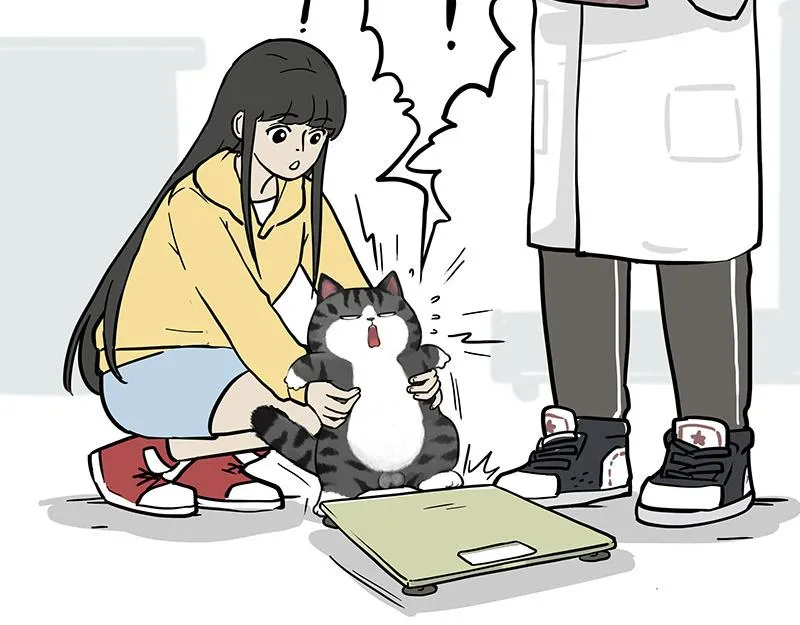 第377话 谢谢小猫咪30