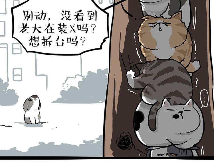 第270话 胖老猫你个大骗子！25
