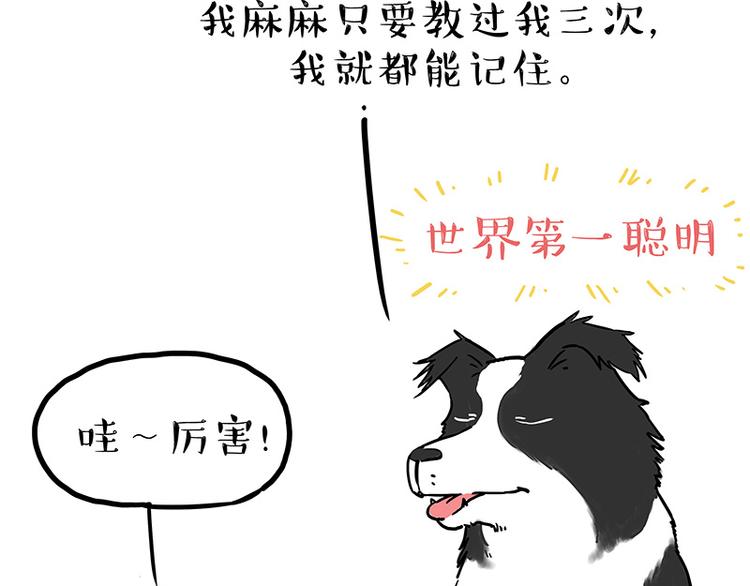 第207话 巴扎黑丢了？！28