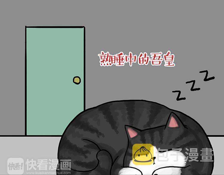 第33话 洗猫的少年总是孤独的29
