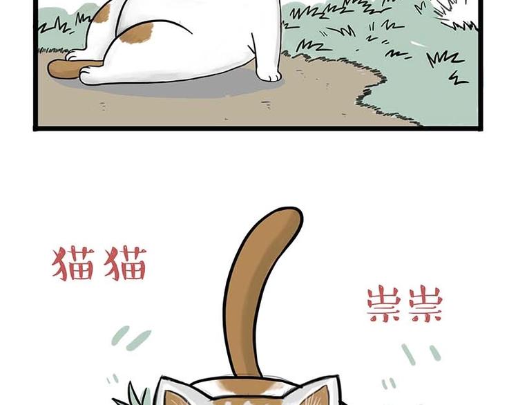 第159话 傲霸日常（二）10